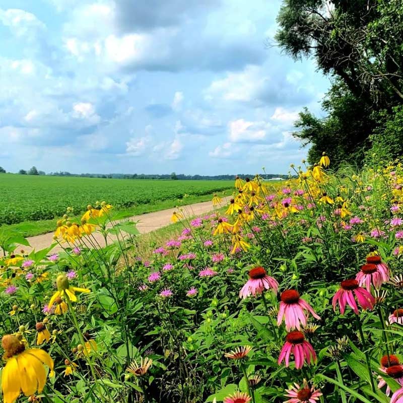 Pumpkinvine Nature Trail